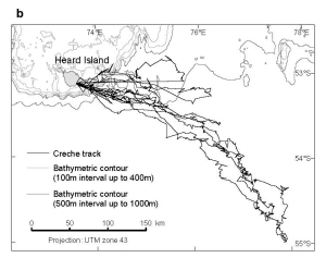 Preview of map showing Macaroni penguin creche stage foraging trips from Heard Island, 2003/04 summer