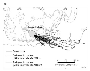 Preview of map showing Macaroni penguin guard stage foraging trips from Heard Island, 2003/04 summer