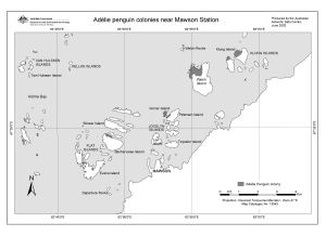 Adelie penguin colonies near Mawson Station