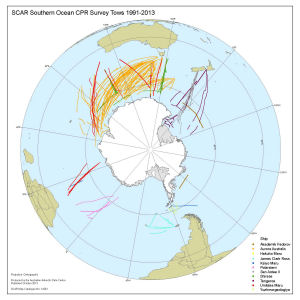 SCAR Southern Ocean CPR Survey Tows 1991-2013