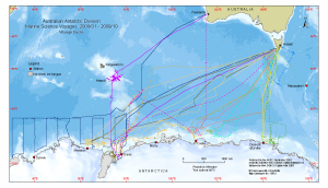 Australian Antarctic Division Marine Science Voyages 2000/01 - 2009/10<br>
Voyage tracks